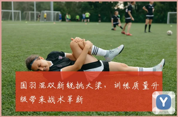 国羽混双新锐挑大梁，训练质量升级带来战术革新 - 澳客网推荐