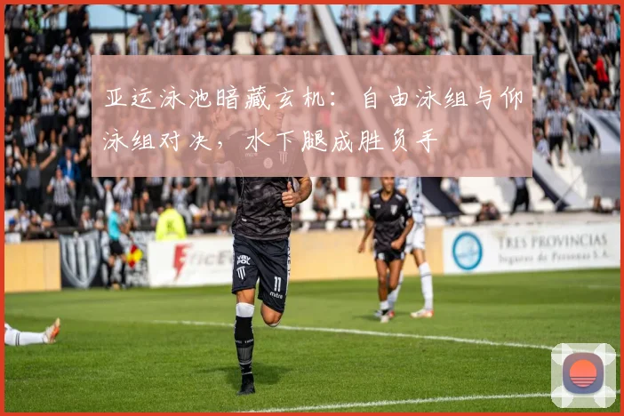 亚运泳池暗藏玄机：自由泳组与仰泳组对决，水下腿成胜负手 - 澳客网推荐