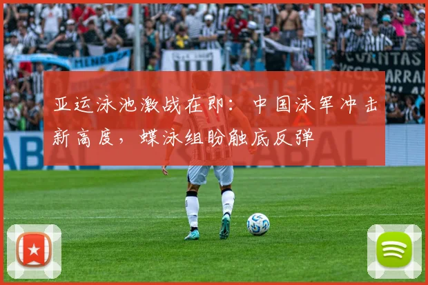 亚运泳池激战在即：中国泳军冲击新高度，蝶泳组盼触底反弹 - 澳客网推荐